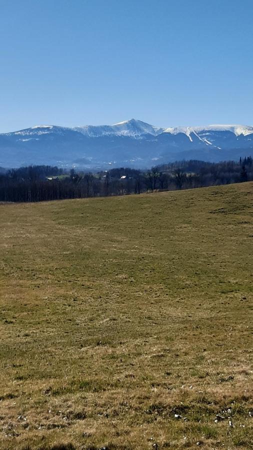 Przytulne Na Poddaszu Jelenia Gora Bagian luar foto