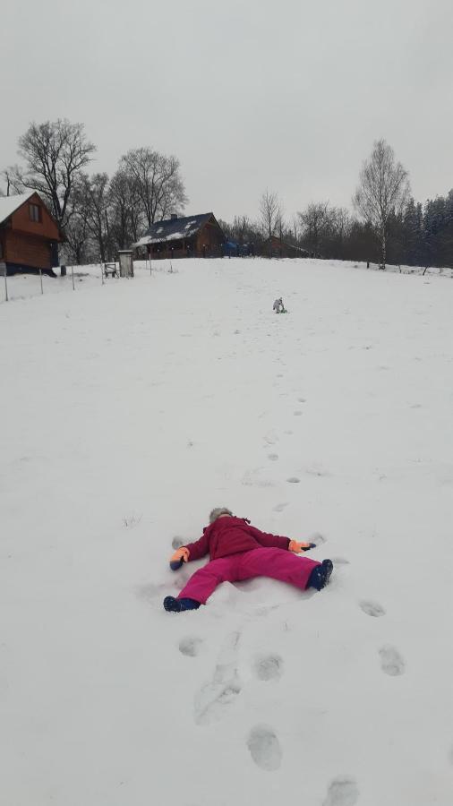 Przytulne Na Poddaszu Jelenia Gora Bagian luar foto